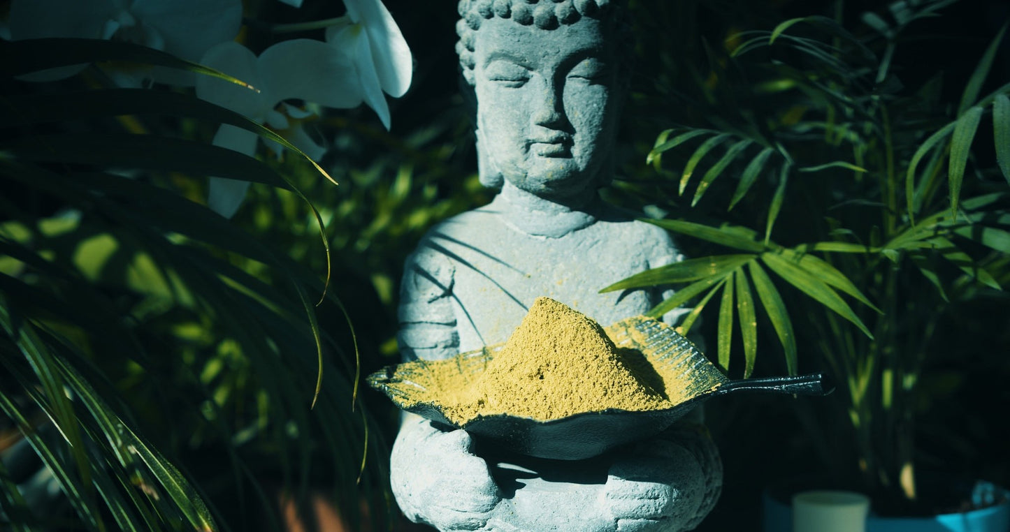 Sacred Southeast Asian Herbal Tea Blend - Phytotropix