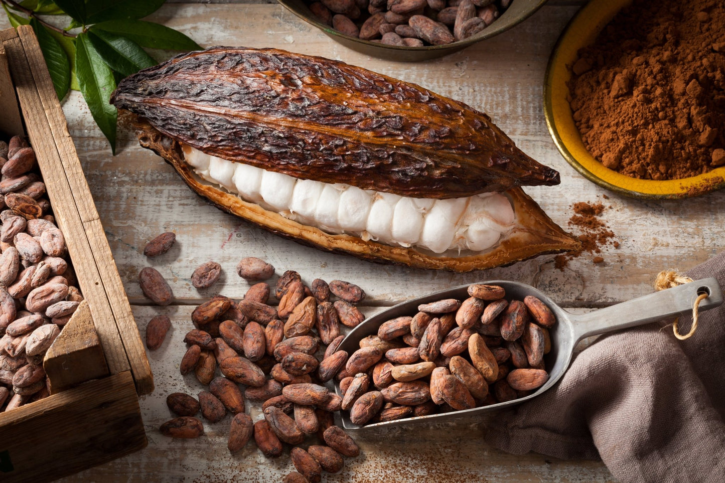 Raw Cacao Powder (Organic & Non-GMO) - Phytotropix