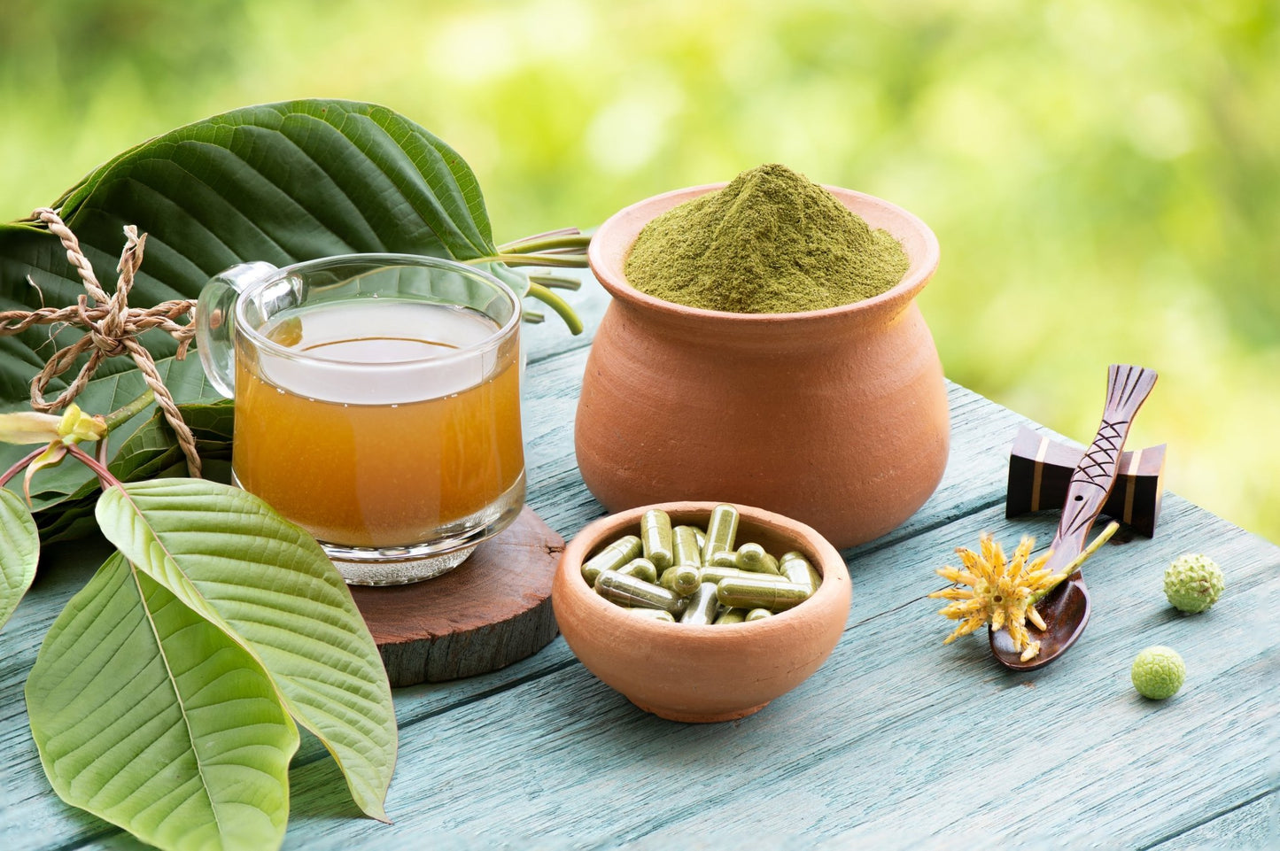 Sacred Southeast Asian Herbal Tea Blend - Phytotropix