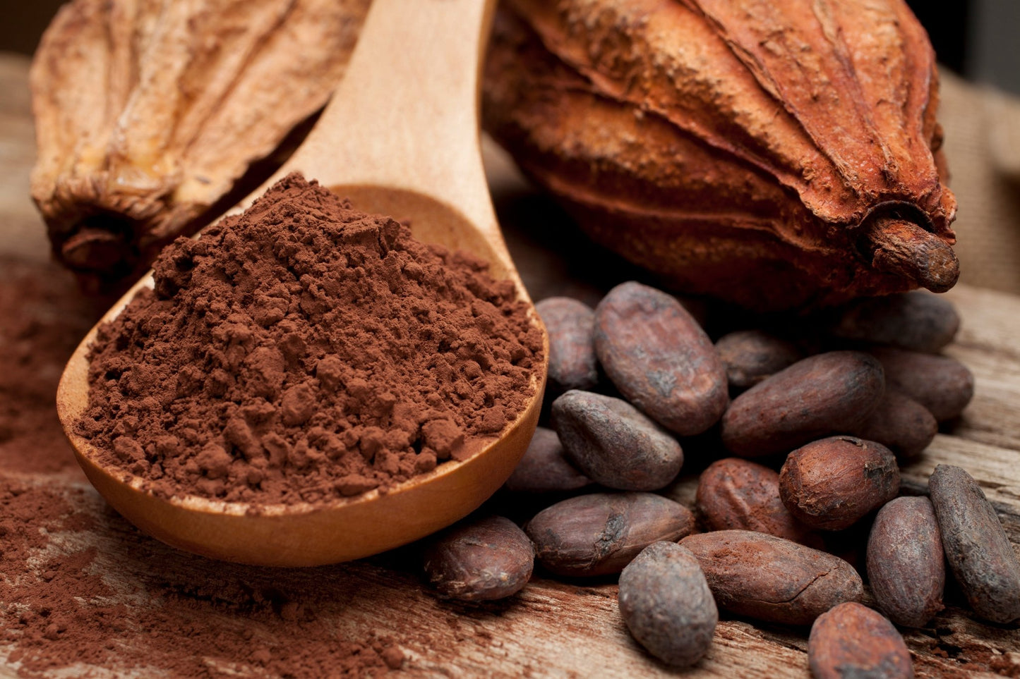 Raw Cacao Powder (Organic & Non-GMO) - Phytotropix